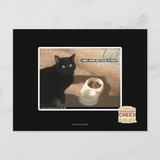 私はあなたを知らな気にい ポストカード (正面)