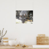 私はあなたを見ているネズミプリント ポスター (キッチン)