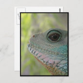 私はあなたを見ている – はがき (正面/裏面)