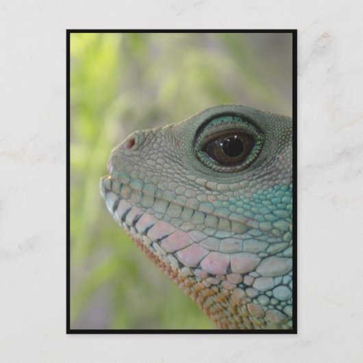 私はあなたを見ている – はがき (正面)