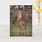 私はあなたを見ている カード (黄色い花)