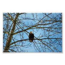 私はあなたを見ている