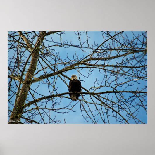 私はあなたを見ている ポスター (正面)