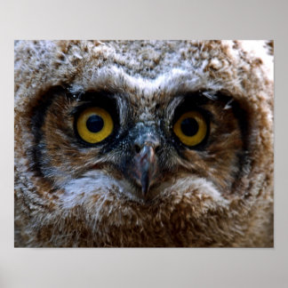 私はあなたを見ている ポスター