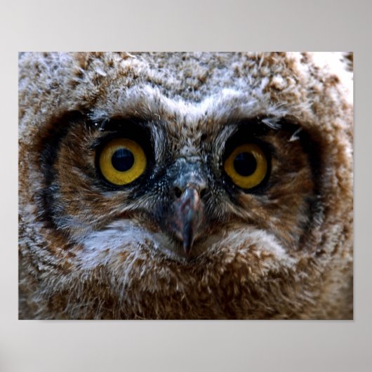 私はあなたを見ている ポスター (正面)