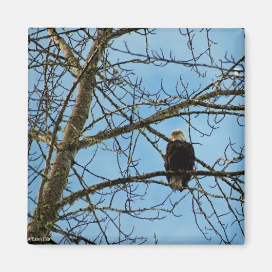 私はあなたを見ている マグネット (正面)