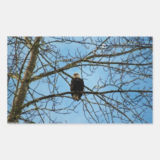 私はあなたを見ている 長方形シール (正面)