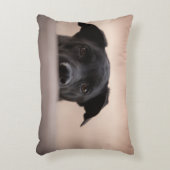 『私はあなたを見守る』 アクセントクッション (正面(垂直))