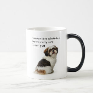 私はあなたを飼っている シ Shih Tzu モーフィングマグカップ