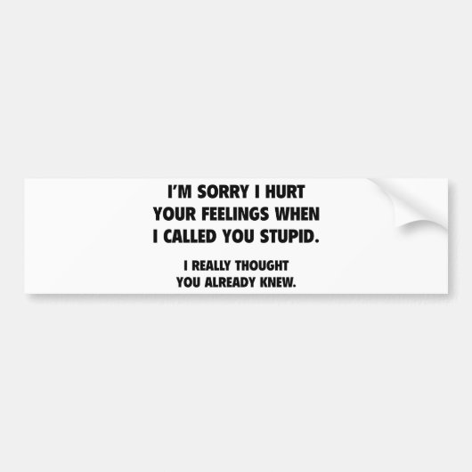 私はあなたを馬鹿と呼んだ バンパーステッカー (正面)