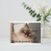 私はいけなくまたは素晴らしくていいです シーズンポストカード (スタンド正面)