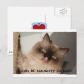 私はいけなくまたは素晴らしくていいです シーズンポストカード (正面/裏面)