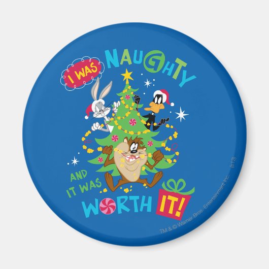 私はいけな マグネット (正面)