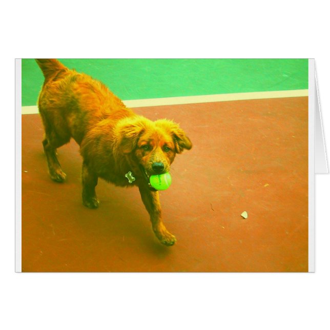 "私はいつでも演じます! " (正面横)