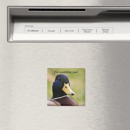 私はおもしろいあなたを見ているアヒル冷蔵庫用マグネット マグネット (インサイチュ (食洗機))