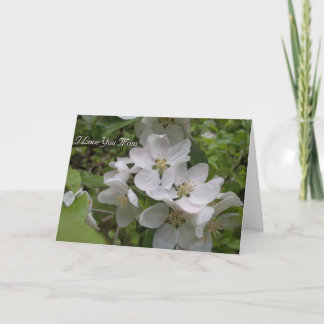 私はお母さん愛します カード