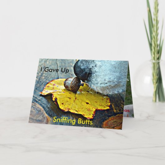 私はくんくんかぐお尻のクリスマスカードを与えました シーズンカード (正面)