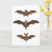 私はこうもり カード (黄色い花)