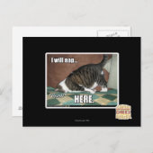 私はここで昼寝する ポストカード (正面/裏面)