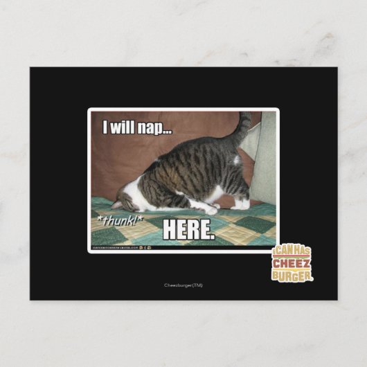 私はここで昼寝する ポストカード (正面)