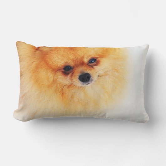 私はここにいます! ランバークッション (正面)