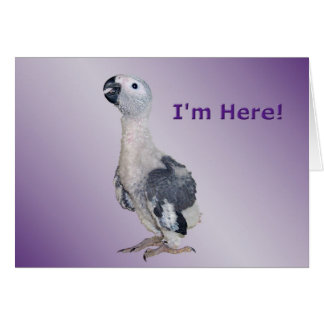 私はここにいる