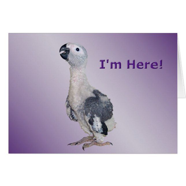 私はここにいる (正面横)