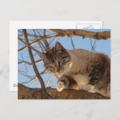 私はここにいる ポストカード (正面/裏面)