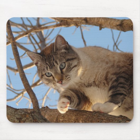 私はここに来ている マウスパッド (正面)