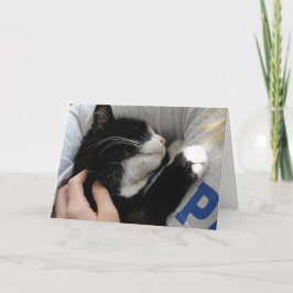 私はこの大いに愛します シーズンカード