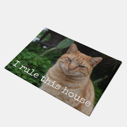 私はこの家おもしろいでカスタムなペット写真のドア・マットを支配します ドアマット (アングル)