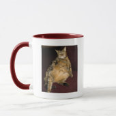 私はこの愚かなカードにあります マグカップ (左)