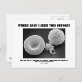 私はこれをどこで見たことがある？血球 ポストカード (正面/裏面)