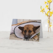 "私はこれを身に着けるなりますか。" カード (黄色い花)