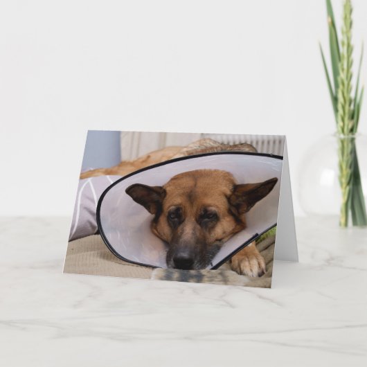 "私はこれを身に着けるなりますか。" カード (正面)