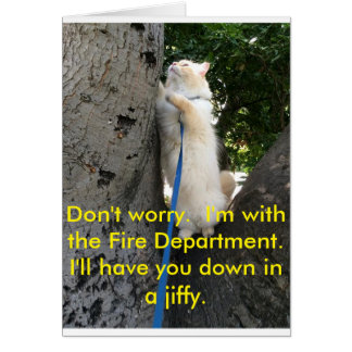 私はすぐにおろしてもらいます。