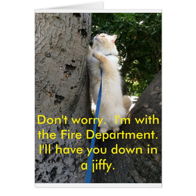 私はすぐにおろしてもらいます。 (正面)