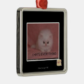 私はすべてを憎みます メタルオーナメント (右)