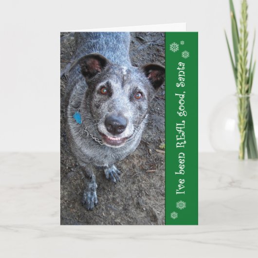 私はずっと実質のよいサンタ|のクリスマスカードです シーズンカード (正面)