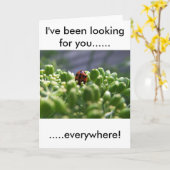 私はずっと捜しています カード (黄色い花)