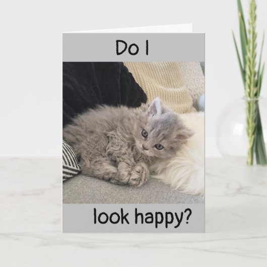 私はそうです**SAD**です。 カード (正面)