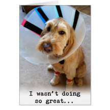 私はそう素晴らしい…していませんでした