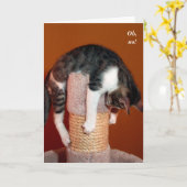 私はそこにユーモアのあるな猫サポートカードでつるします カード (黄色い花)