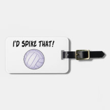 私はそのバレーボールを打ちつけます