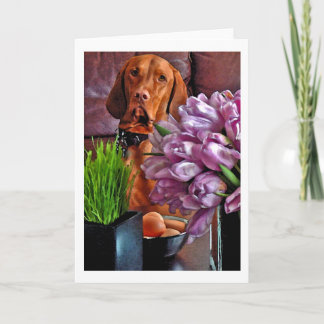 私はそれらの卵の1個を食べてもよいですか。 シーズンカード