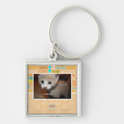 私はそれをしませんでした キーホルダー (正面)