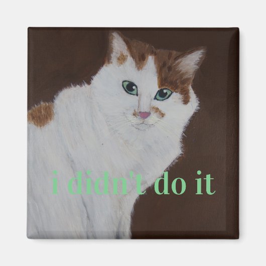 私はそれをやっていない マグネット (正面)