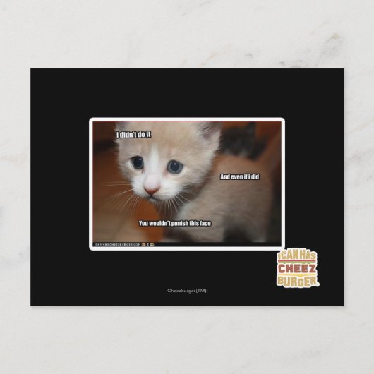 私はそれをやらなかった。 ポストカード (正面)