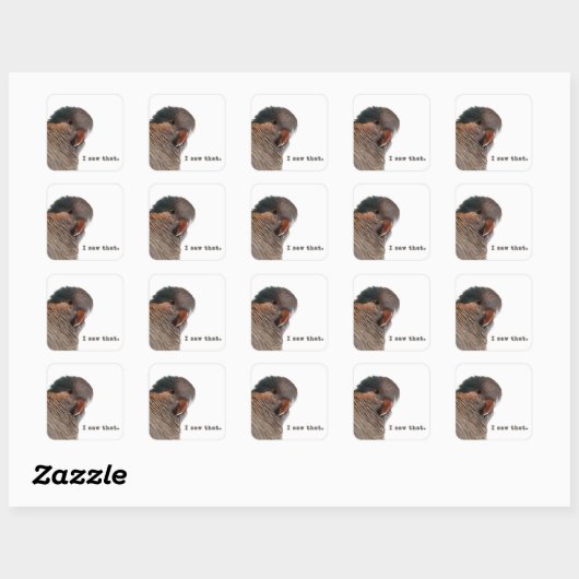 私はそれを見た。パロットステッカー スクエアシール (シート)