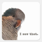 私はそれを見た。パロットステッカー スクエアシール (正面)